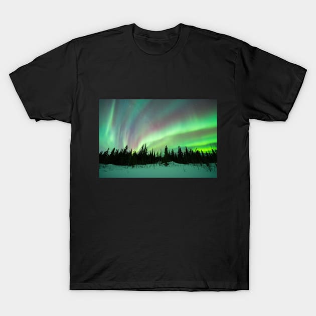 Rainbow Aurora Borealis in a Black Spruce Forest in Alaska T-Shirt by vincentledvina